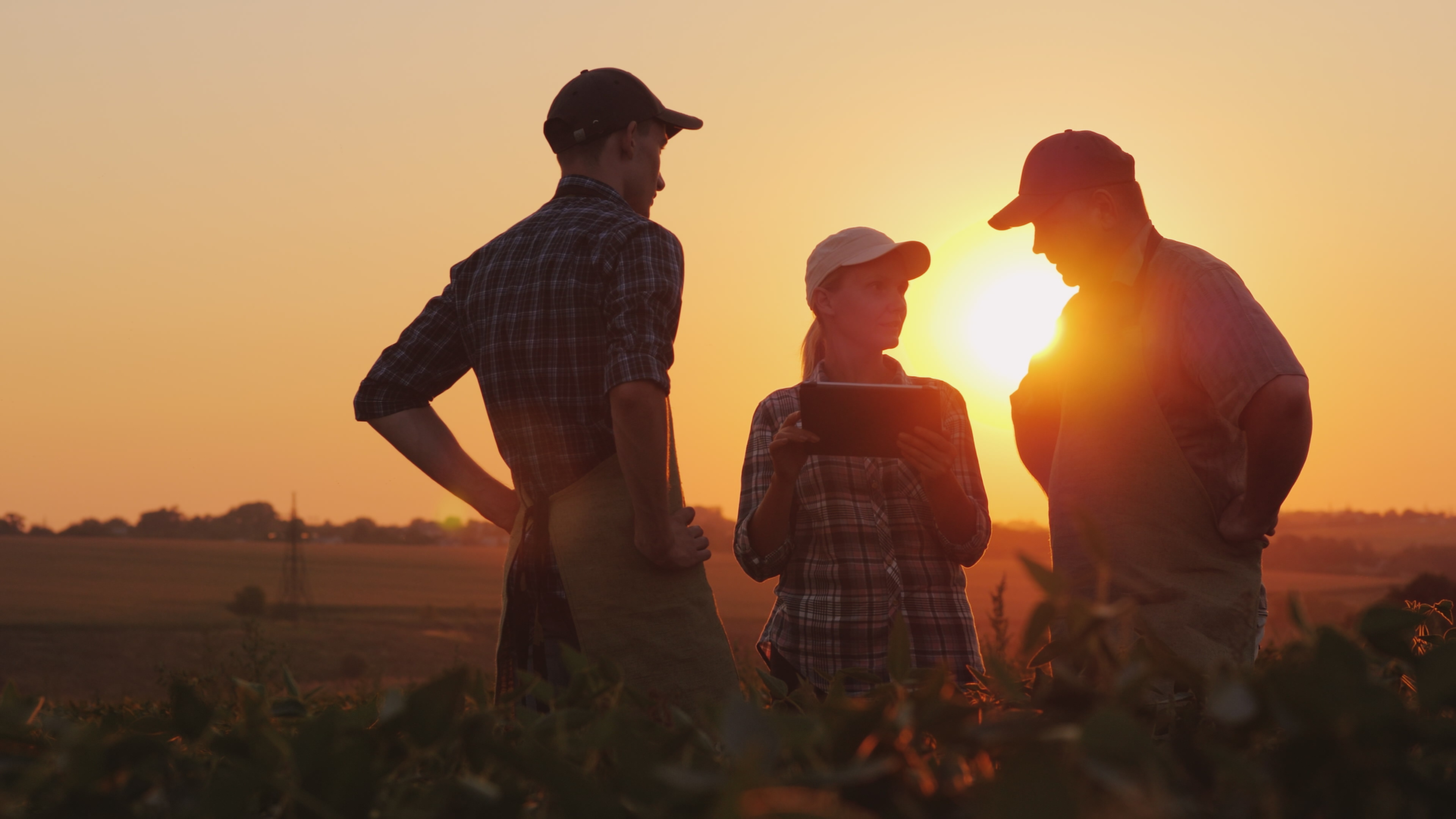 3 people standing in a field during golden hour