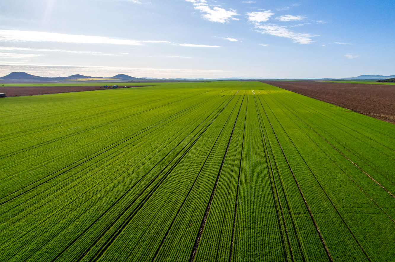 Liverpool Plains farmland